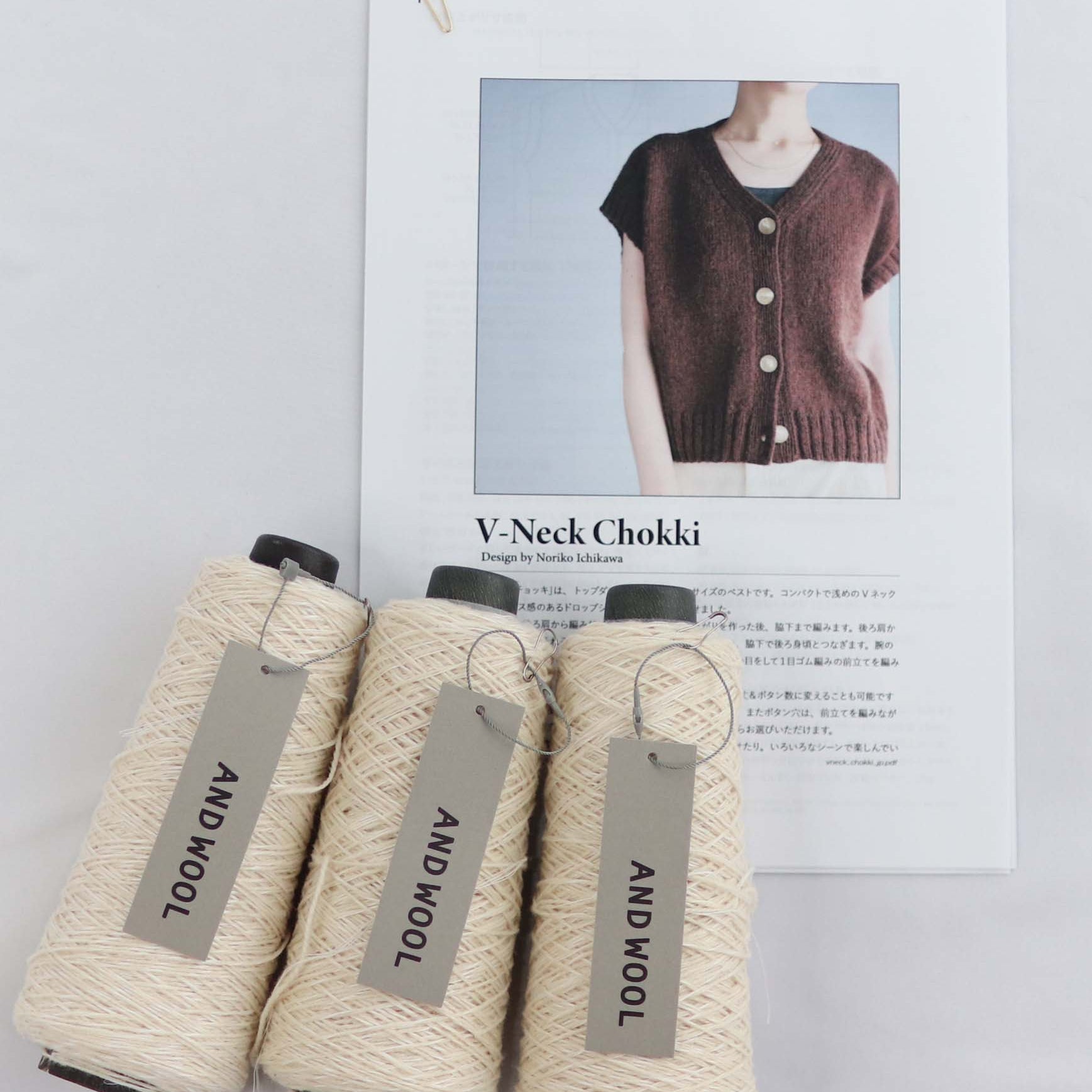 【NORIKO ICHIKAWA】V Neck Chokki Vネックチョッキ ANDWOOL 【NO.33】ジャパンウールリネン糸セット