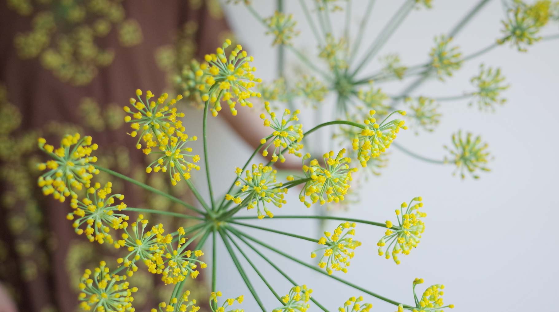 GW休業による出荷停止期間について