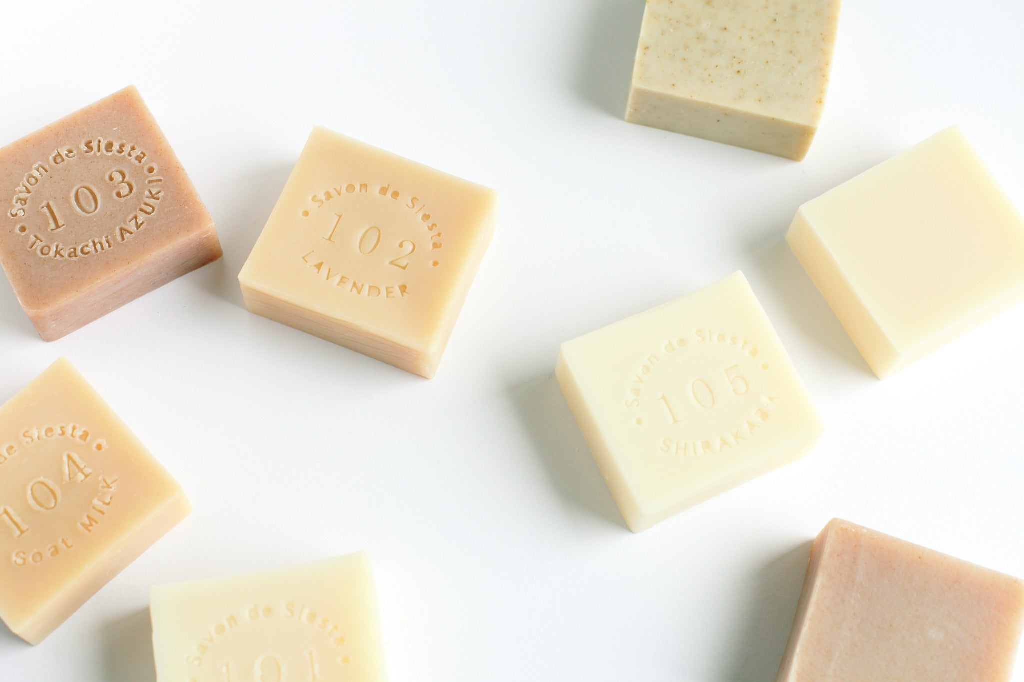 【札幌】4月24日（水）SAVON de SIESTA「muuc　-刺繍で描く植物-」