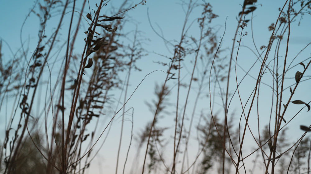 年末年始休業による出荷停止期間について