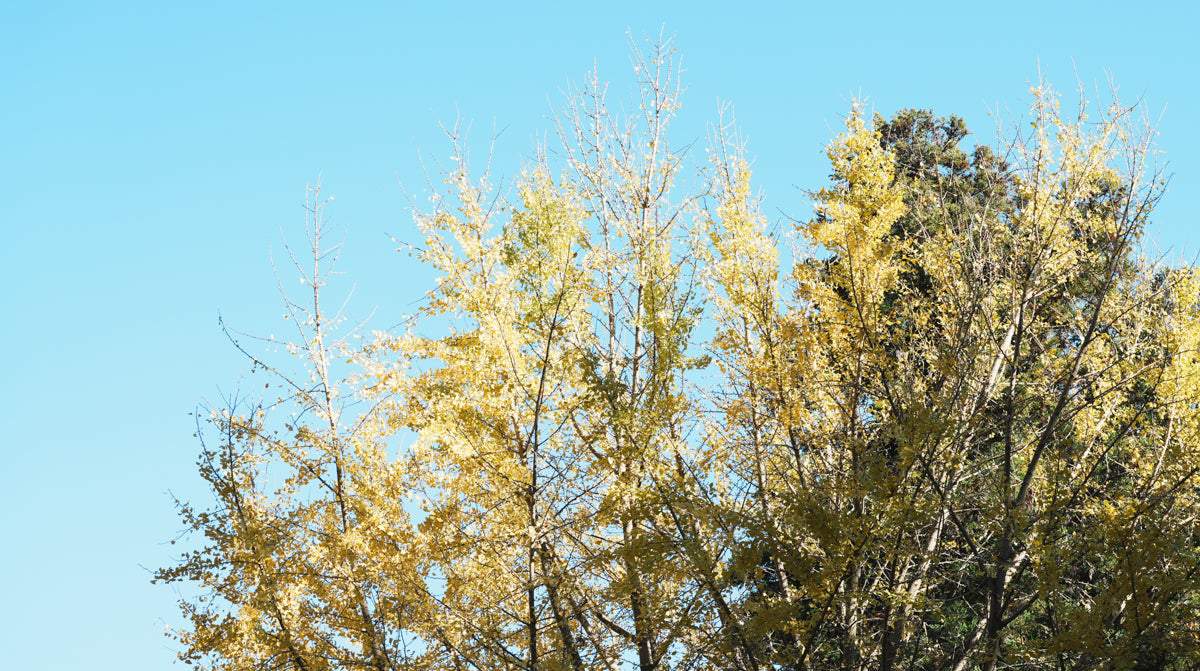 2025年 年末のご挨拶と、振り返り