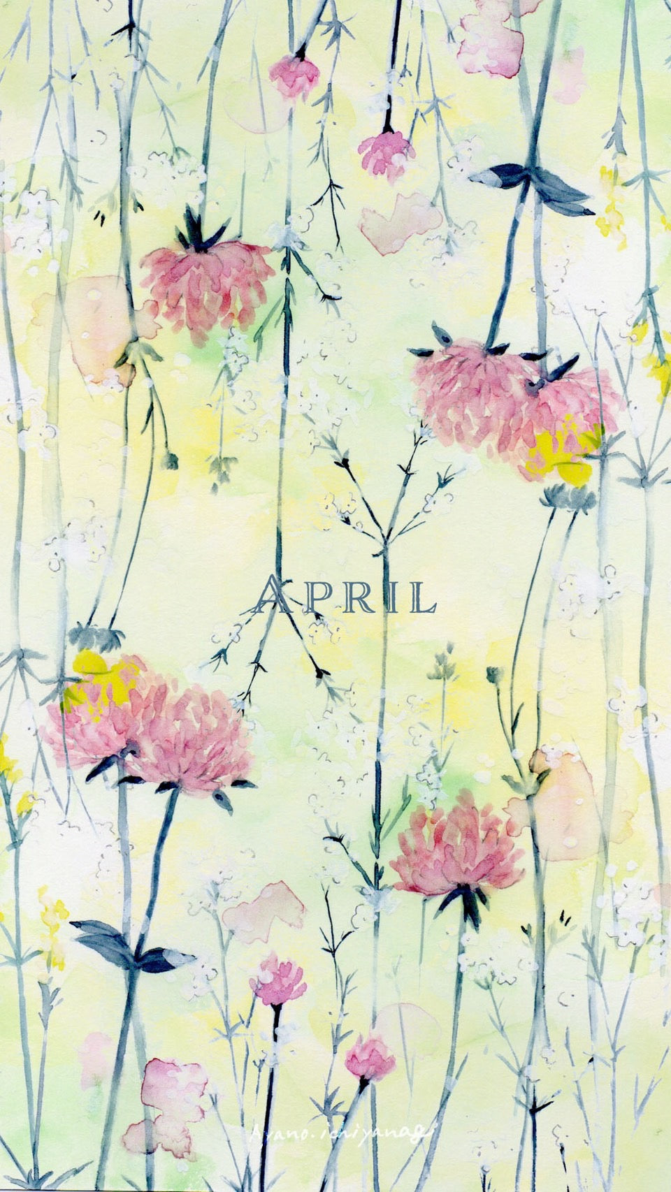 [ 2025年4月/スマホ壁紙：アカツメクサ ] 絵描き：一柳綾乃さん から届きました。