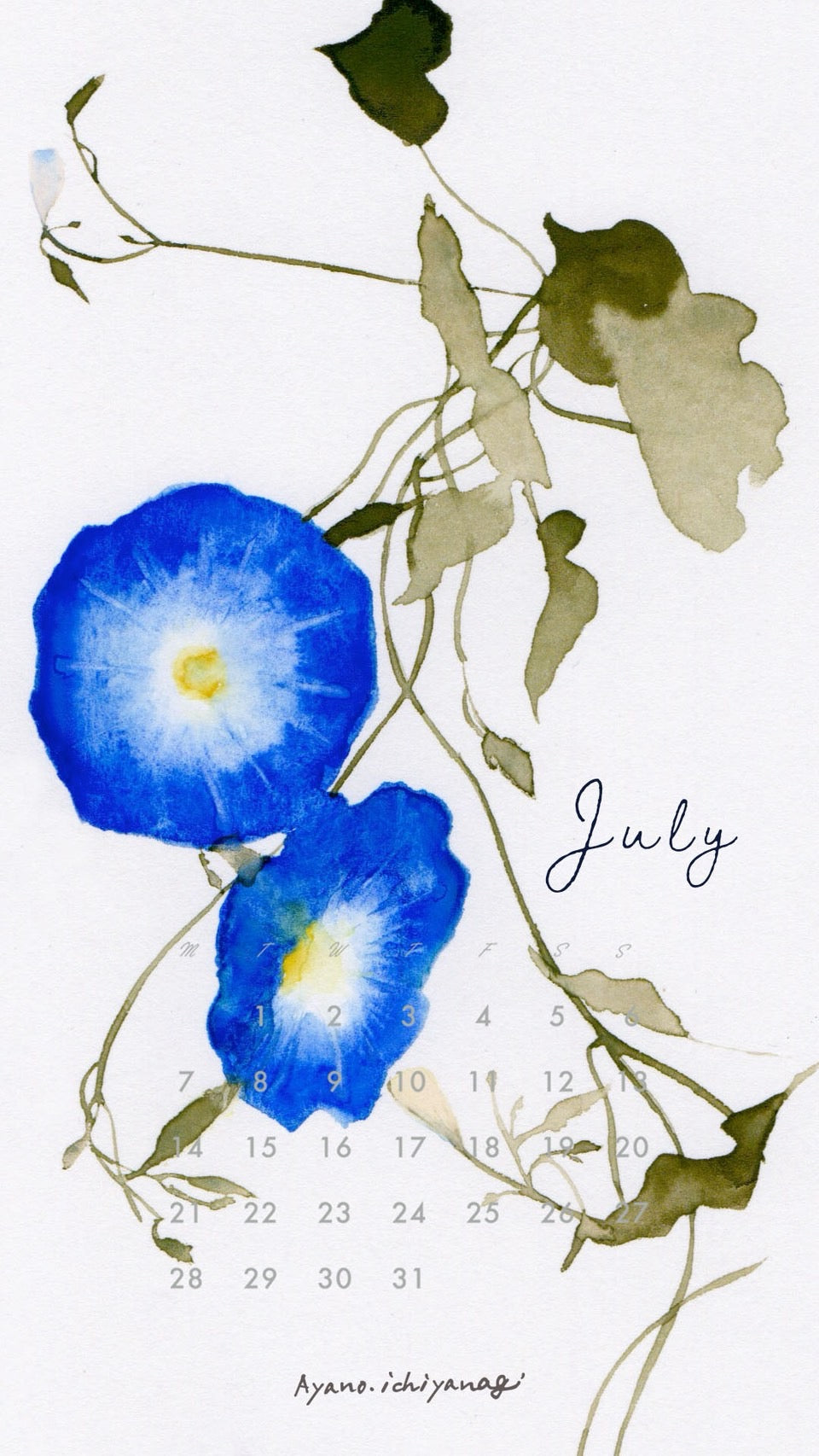 [ 2025年7月/スマホ壁紙：朝顔] 絵描き：一柳綾乃さん から届きました。