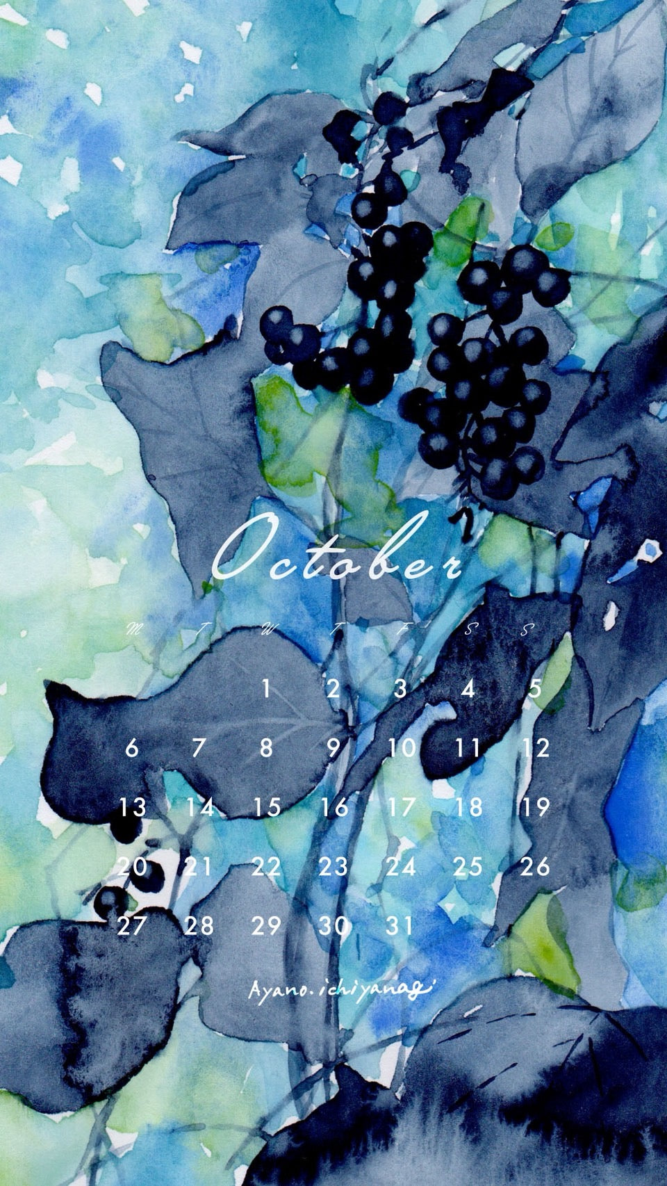 [ 2025年10月/スマホ壁紙：シュウメイギク ] 絵描き：一柳綾乃さん から届きました。