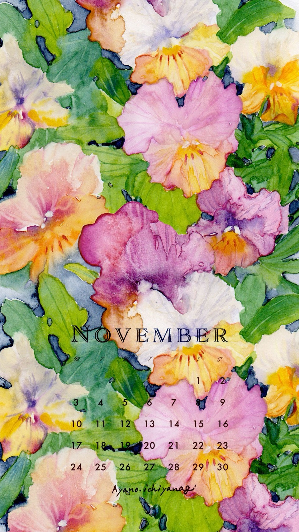 [ 2025年11月/スマホ壁紙：ビオラ ] 絵描き：一柳綾乃さん から届きました。