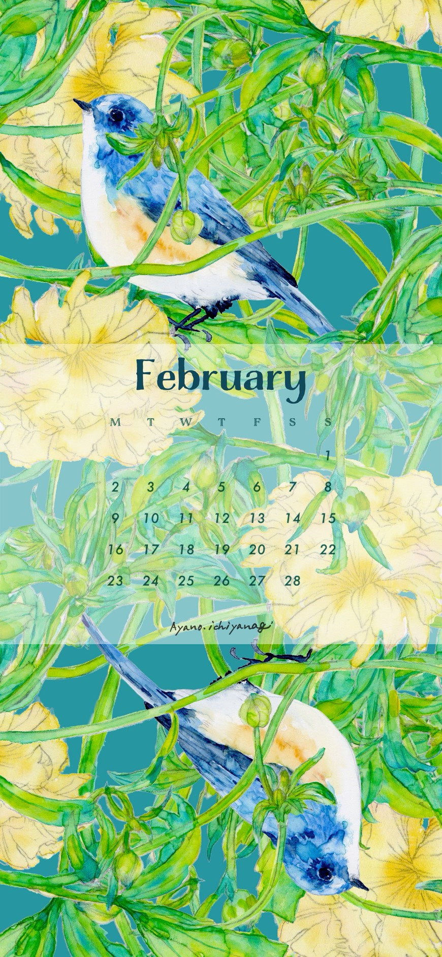 [ 2026年2月/スマホ壁紙：ラナンキュラスとルリビタキ  ] 絵描き：一柳綾乃さん から届きました。