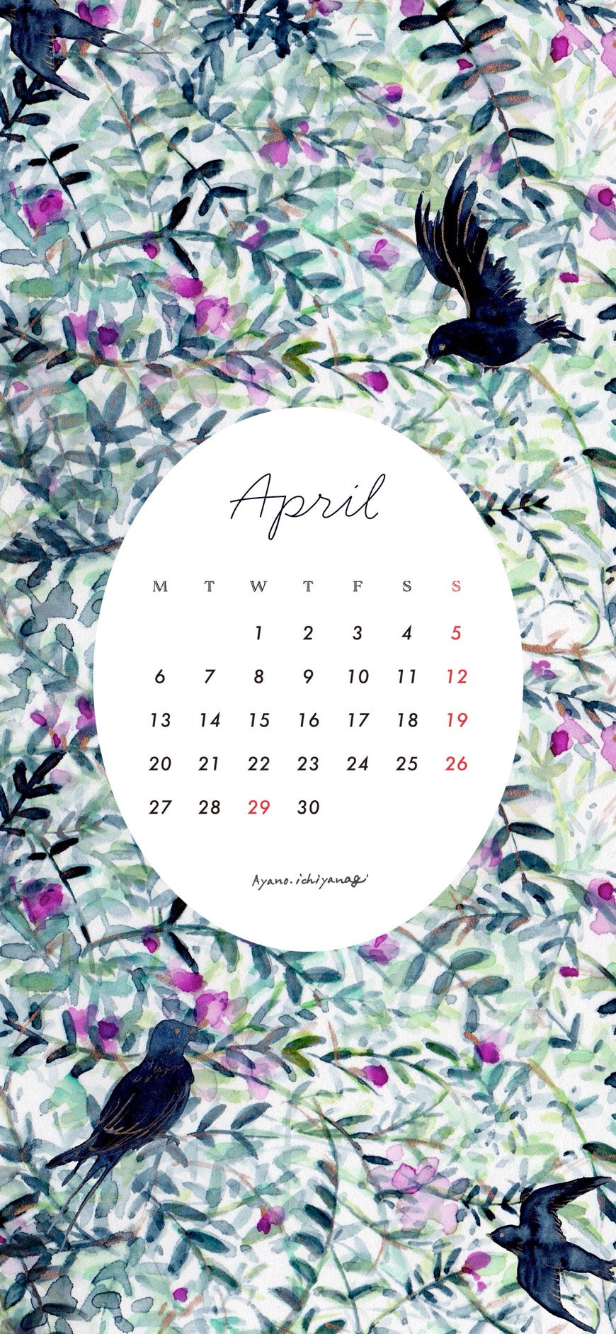 [ 2026年４月/スマホ壁紙：カラスノエンドウ ] 絵描き：一柳綾乃さん から届きました。