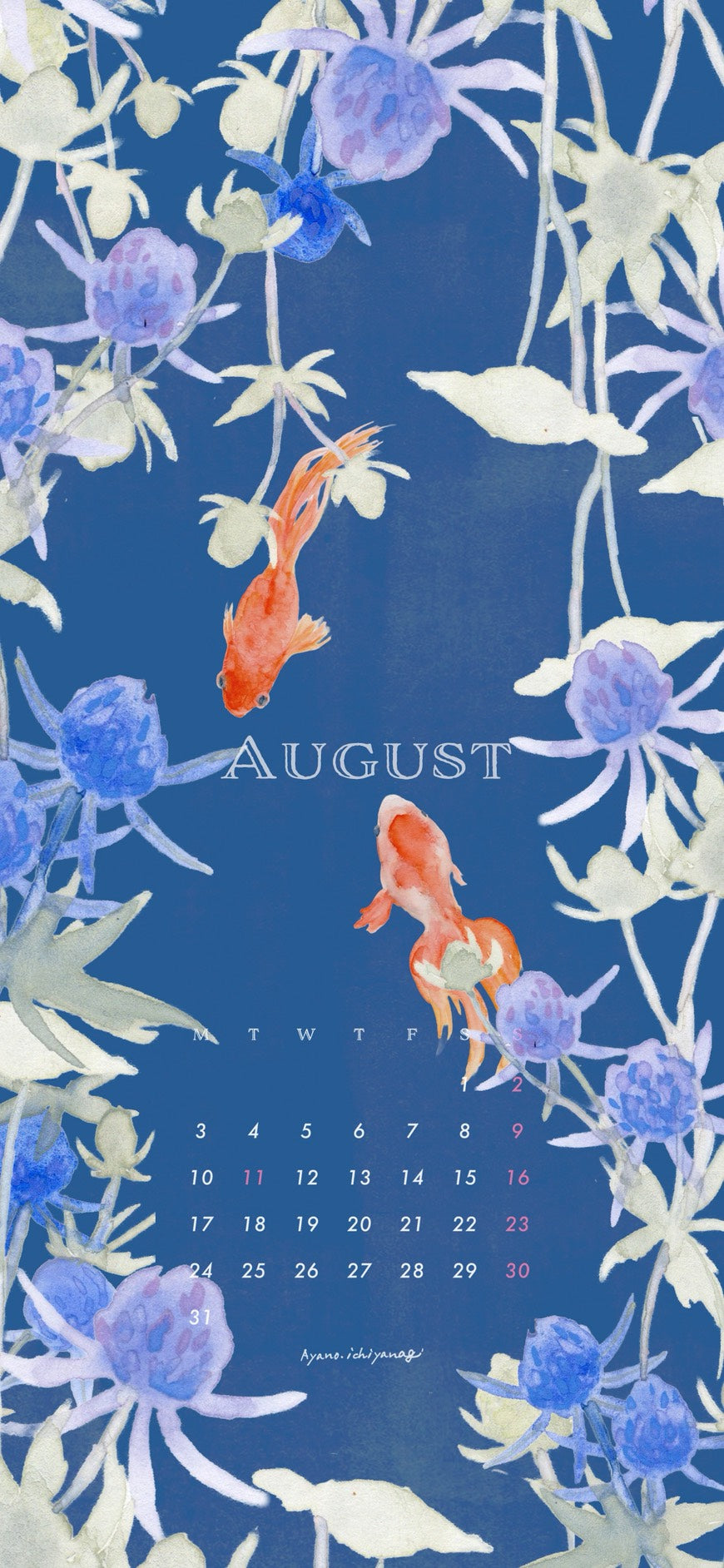 [ 2026年8月/スマホ壁紙：ルリタマアザミと金魚 ] 絵描き：一柳綾乃さん から届きました。
