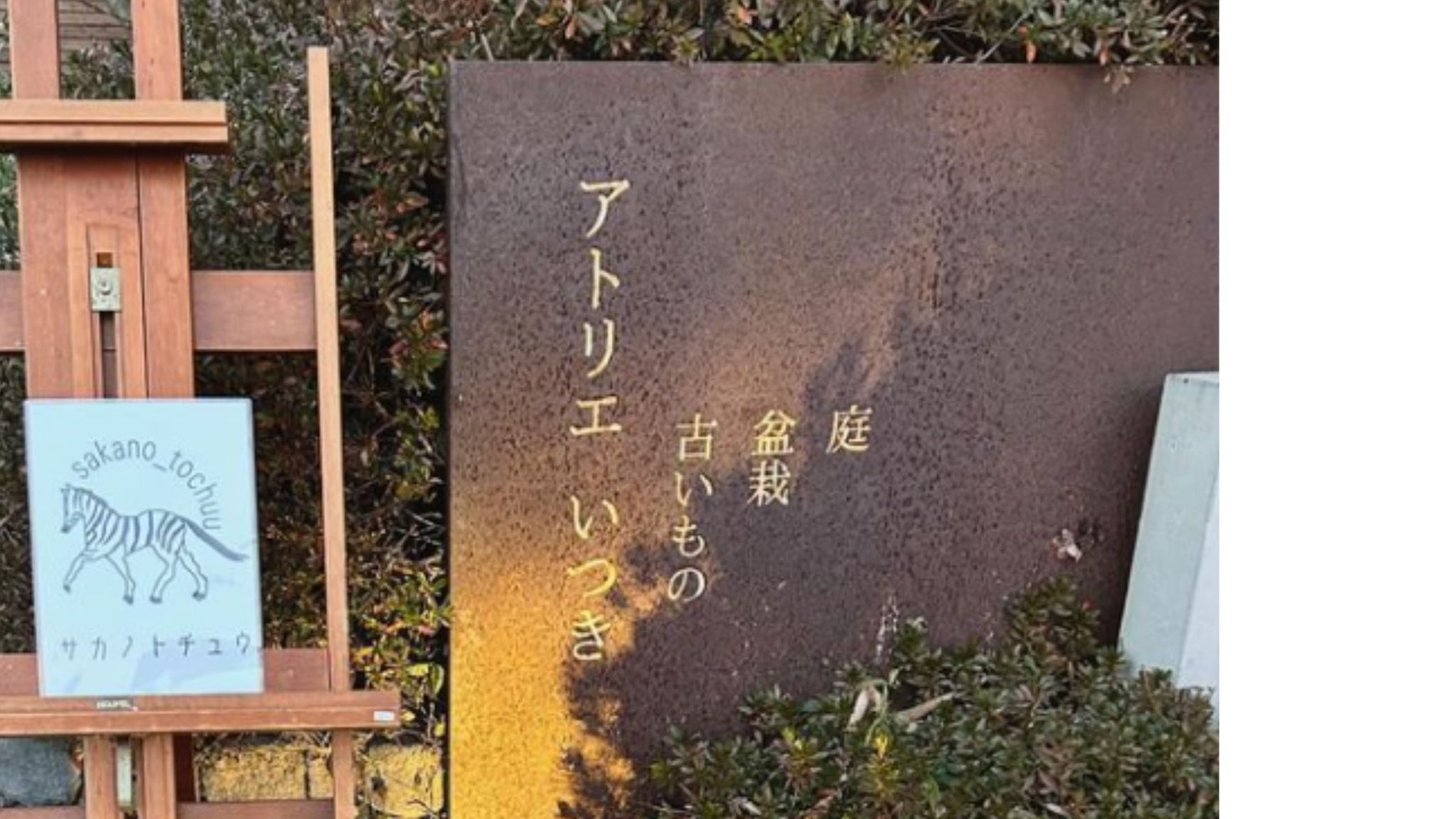 【5月24日(金)-27日(月)】静岡県/磐田：サカノトチュウ POPUP SHOP