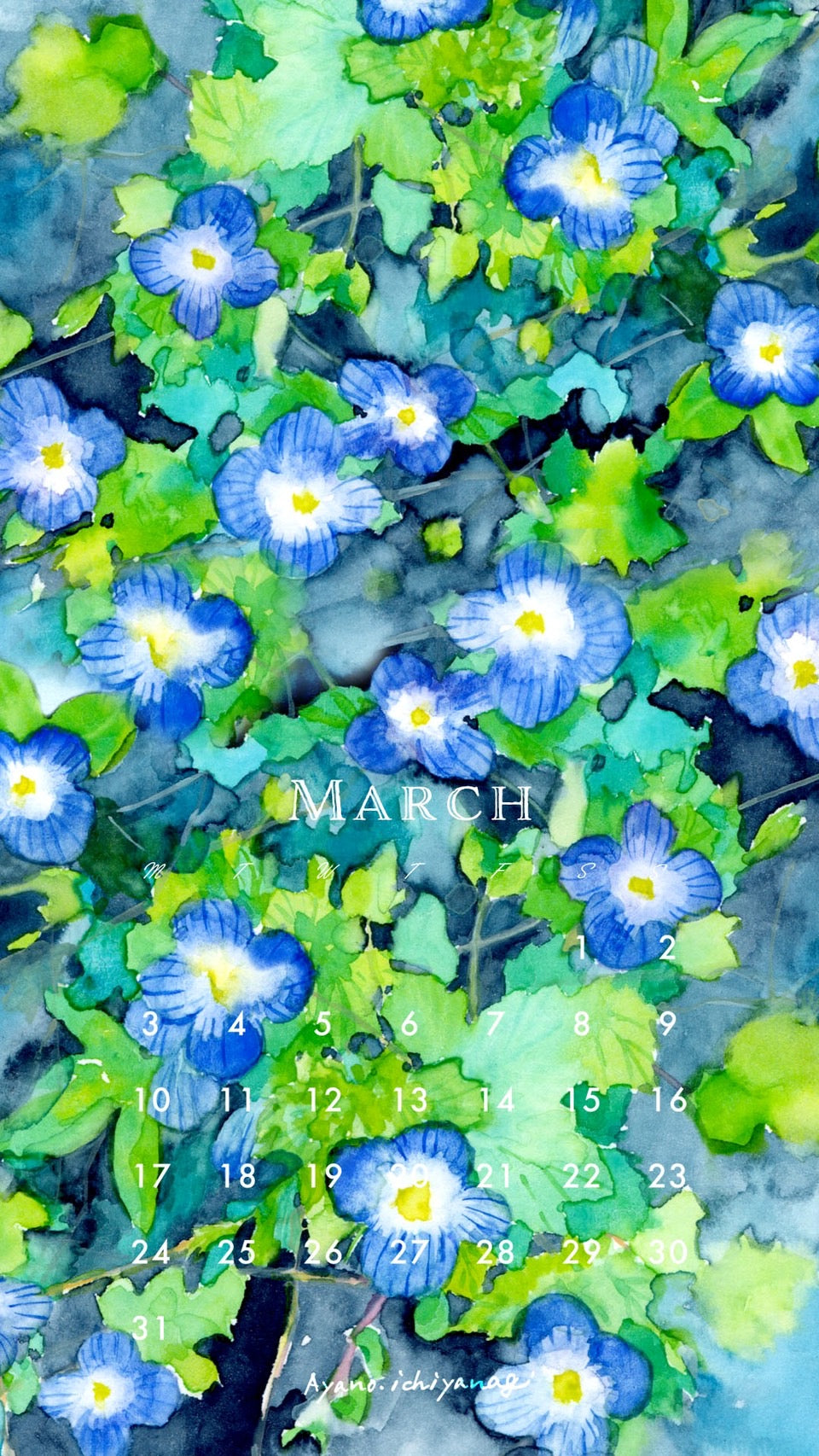 [ 2025年3月/カレンダー：オオイヌノフグリ ] 絵描き：一柳綾乃さん から届きました。