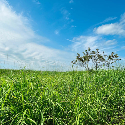 muuc零れ話 vol.2 ｢2024年の振り返りと2025年の抱負｣