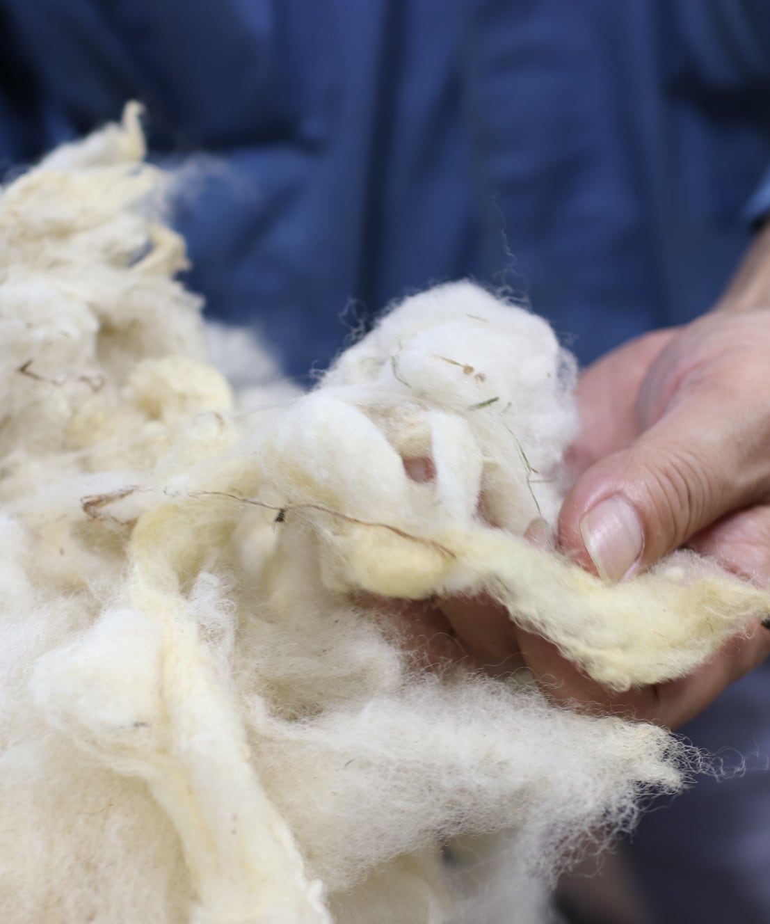 編み物キット】ジャパンウール靴下（糸：No.30） – WOOL STUDIO